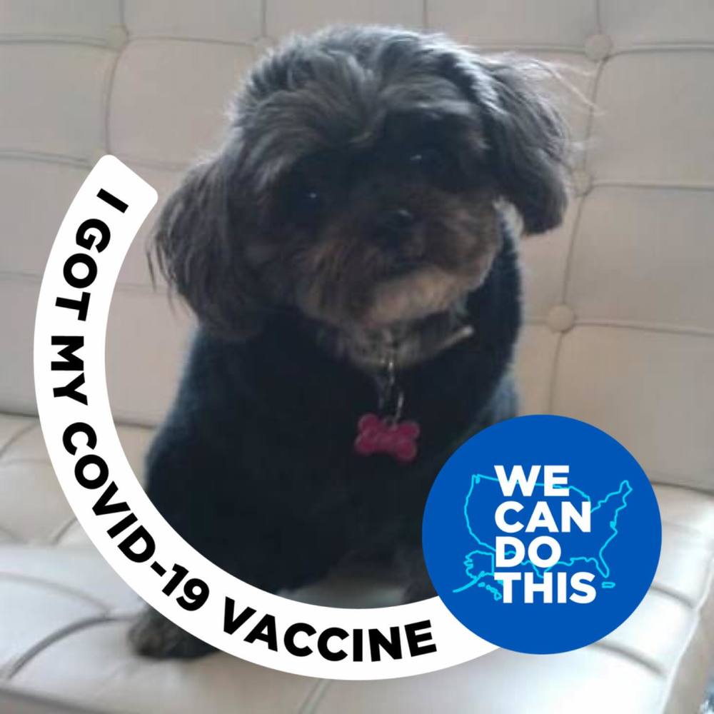 Meet your Posher, Pauline